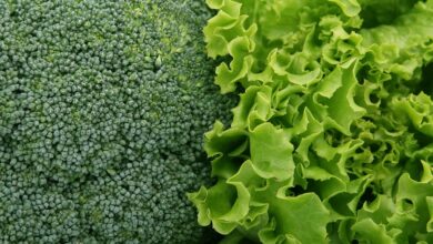broccoli, lettuce, vegetables, salad, green, fresh, leafy greens, broccoli, broccoli, broccoli, broccoli, lettuce, lettuce, lettuce, lettuce, vegetables, salad, salad, salad, salad, salad, leafy greens, leafy greens, leafy greens, leafy greens