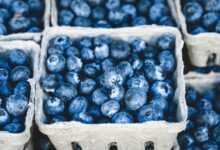 blueberries, bunch, berries, fruits, bunch of berries, fresh berries, fresh blueberries, ripe, ripe blueberries, fruit stand, harvest, produce, organic, fresh produce, blueberries, blueberries, blueberries, blueberries, blueberries, berries, fruits
