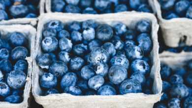 blueberries, bunch, berries, fruits, bunch of berries, fresh berries, fresh blueberries, ripe, ripe blueberries, fruit stand, harvest, produce, organic, fresh produce, blueberries, blueberries, blueberries, blueberries, blueberries, berries, fruits