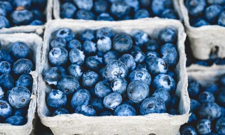 blueberries, bunch, berries, fruits, bunch of berries, fresh berries, fresh blueberries, ripe, ripe blueberries, fruit stand, harvest, produce, organic, fresh produce, blueberries, blueberries, blueberries, blueberries, blueberries, berries, fruits
