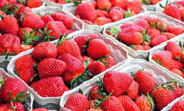 strawberries, fruit, market, food, red fruit, berry, produce, harvest, organic, natural, sweet, tasty, strawberries, strawberries, strawberries, strawberries, strawberries, fruit, market, market