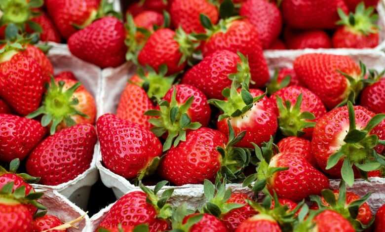 strawberries, fruit, red, ripe, cute, yummy, food, fresh, berry, juicy, nourishment, vitamins, market, strawberries, strawberries, strawberries, strawberries, strawberries
