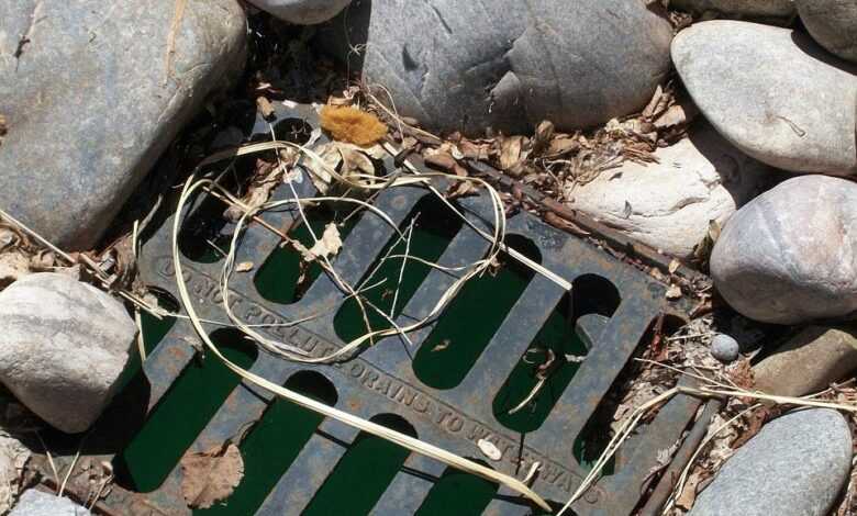 rocks, drain, grill, sewer, drainage, drain, drain, sewer, drainage, drainage, drainage, drainage, drainage