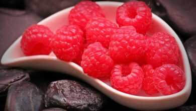 raspberries, fruits, food, red fruits, berry, snack, dessert, healthy, vitamins, produce, organic, natural, sweet, delicious, fresh, bowl, white bowl, raspberries, food, food, food, food, food