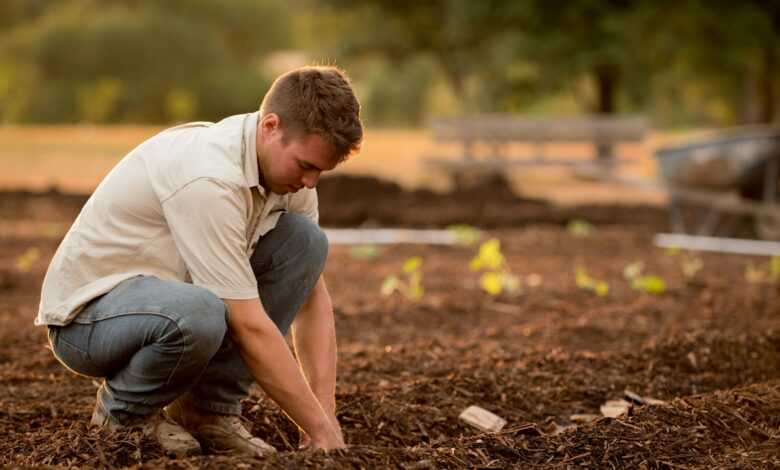 man in white shirt planting at daytime