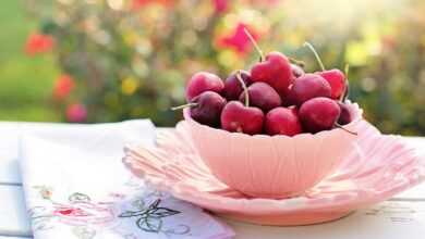cherries, bowl, fruits, red cherries, fresh, ripe, sweet, harvest, produce, organic, healthy, diet, nutrition, juicy, delicious, tasty, sweet cherries, cherries, cherries, cherries, cherries, cherries, fruits, diet, nutrition