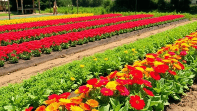 7 кращих способів оформлення клумби