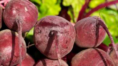 beetroot, vegetables, healthy, vitamins, turnip, red, vegetarian, red beet, vegan, food, market fresh vegetables, beetroot, beetroot, beetroot, beetroot, beetroot, turnip