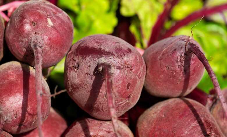 beetroot, vegetables, healthy, vitamins, turnip, red, vegetarian, red beet, vegan, food, market fresh vegetables, beetroot, beetroot, beetroot, beetroot, beetroot, turnip