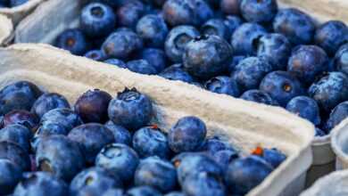blueberries, berries, fruits, food, fresh, healthy, ripe, organic, sweet, produce, green grapes, harvest, vitamins, blueberries, blueberries, blueberries, blueberries, blueberries