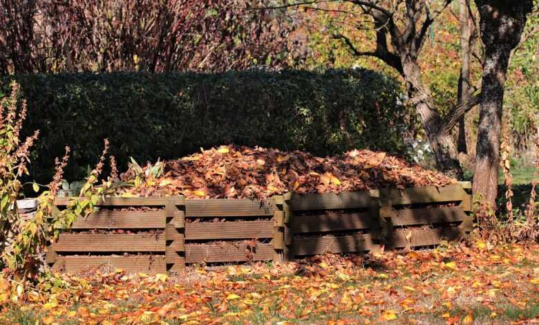 fall, meadow, leaves, nature, grass, tree, compost, autumn leaves, autumn color, foliage coloring, autumn mood, autumnal, colorful, october, compost, compost, compost, compost, compost
