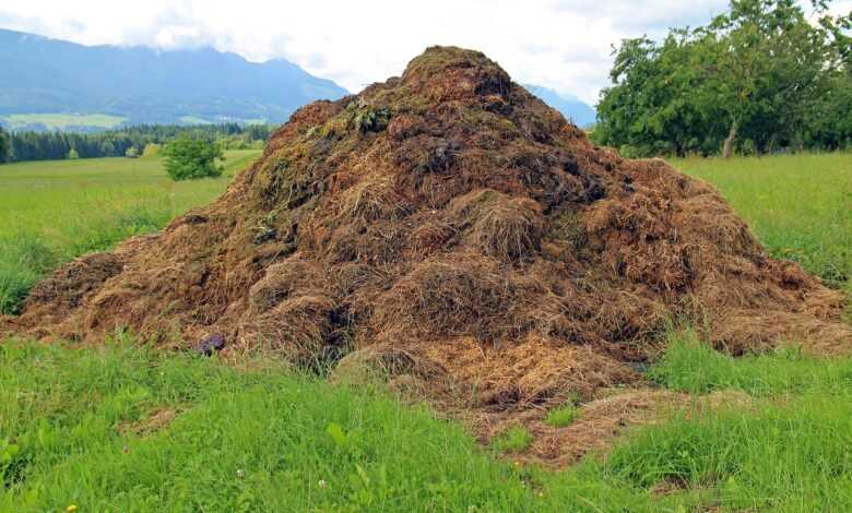 dung, compost heap, assembly point, damn, waste, farm yard, landscape, agriculture, dung, dung, dung, dung, dung, waste