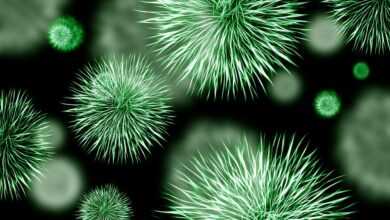 bacteria, pathogen, infection, green, germs, microbes, microscope, multi resistant, resistant, resistance, staphylococcus, staphylococci, viruses, bacterial species, toughness, medicine, biology, microbiology, micro recording, microphoto, creature, science, pest, greenish, bacteria, bacteria, bacteria, bacteria, bacteria, germs, viruses, biology, science, science