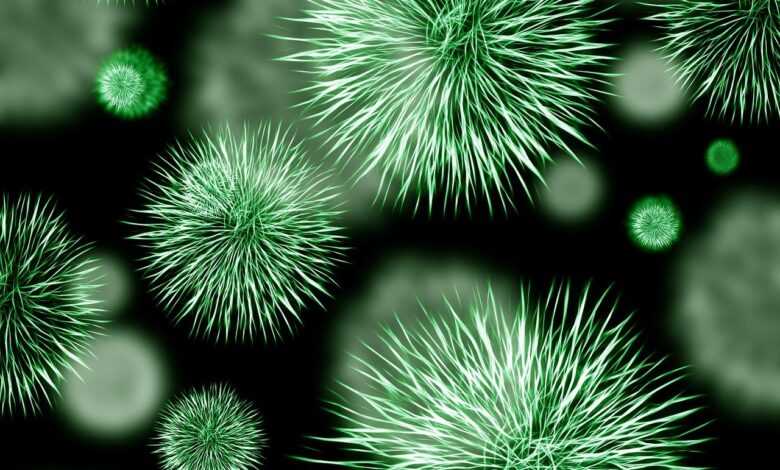 bacteria, pathogen, infection, green, germs, microbes, microscope, multi resistant, resistant, resistance, staphylococcus, staphylococci, viruses, bacterial species, toughness, medicine, biology, microbiology, micro recording, microphoto, creature, science, pest, greenish, bacteria, bacteria, bacteria, bacteria, bacteria, germs, viruses, biology, science, science