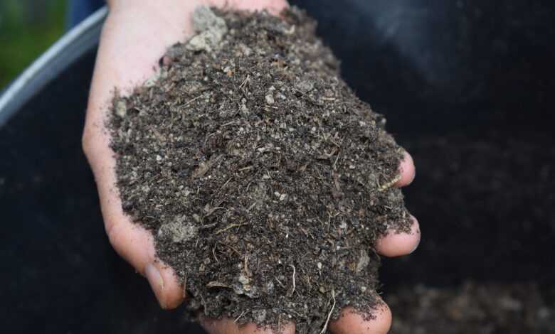 mulch, bokashi, earth, nature, grow, green, outside, natural, plant, agriculture, environment, eco-friendly, organic, the future, gardening, garden, mulch, mulch, mulch, mulch, mulch, bokashi