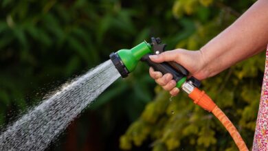 garden hose, water, spray, watering, hose, nature, hose pipe, water spray, closeup