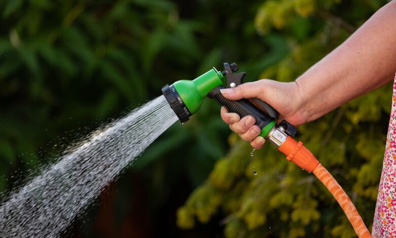 garden hose, water, spray, watering, hose, nature, hose pipe, water spray, closeup