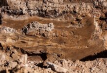clay, soil layer, rock, soil, stone, nature, brown, texture, closeup, clay, clay, soil layer, soil layer, soil layer, soil, soil, soil, soil, soil