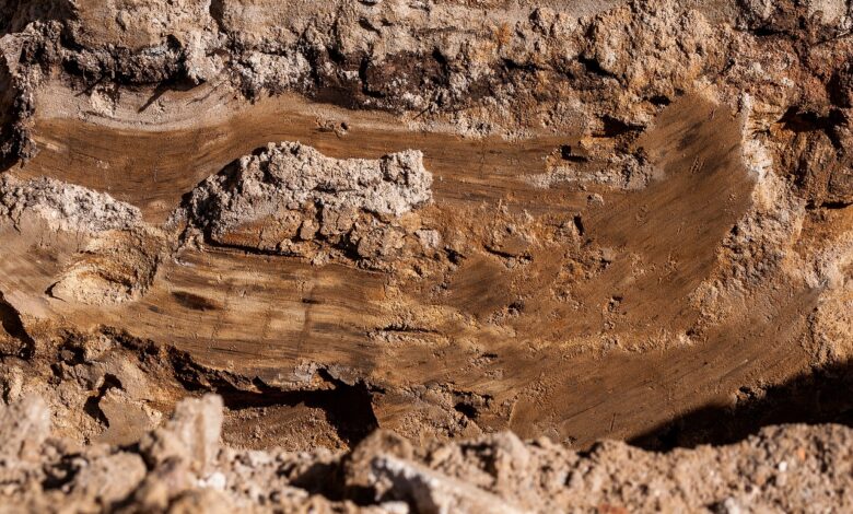 clay, soil layer, rock, soil, stone, nature, brown, texture, closeup, clay, clay, soil layer, soil layer, soil layer, soil, soil, soil, soil, soil