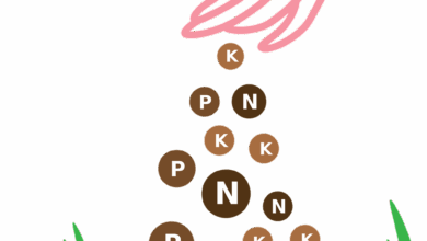 lawn, fertilizer, fertilizing, nature, pellets, garden, clip art, cutout