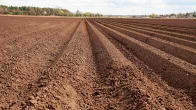 field, soil, fertile soil, furrow, agriculture, lines, clay, soil, fertile soil, fertile soil, fertile soil, fertile soil, fertile soil, furrow, clay