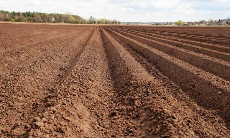 field, soil, fertile soil, furrow, agriculture, lines, clay, soil, fertile soil, fertile soil, fertile soil, fertile soil, fertile soil, furrow, clay