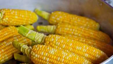 pop corn, yellow, popcorn, food, nutrition, eat, ingredient, corn, corn, corn, corn, corn, corn