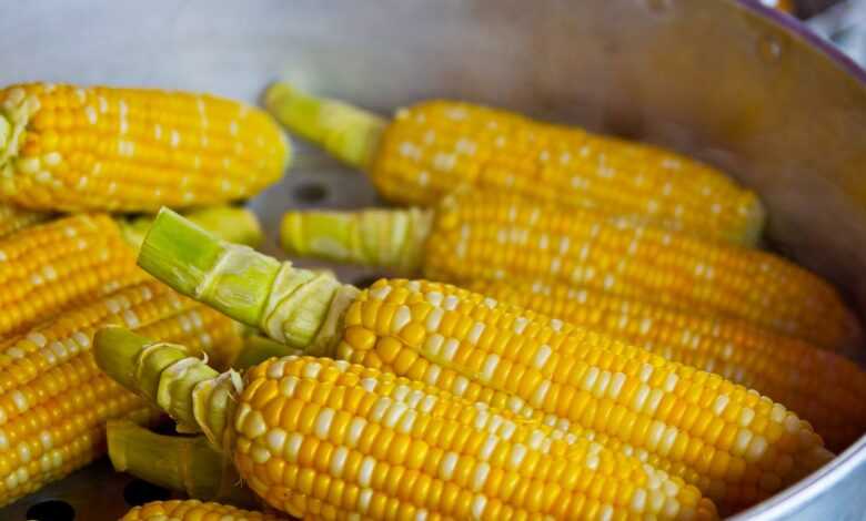 pop corn, yellow, popcorn, food, nutrition, eat, ingredient, corn, corn, corn, corn, corn, corn