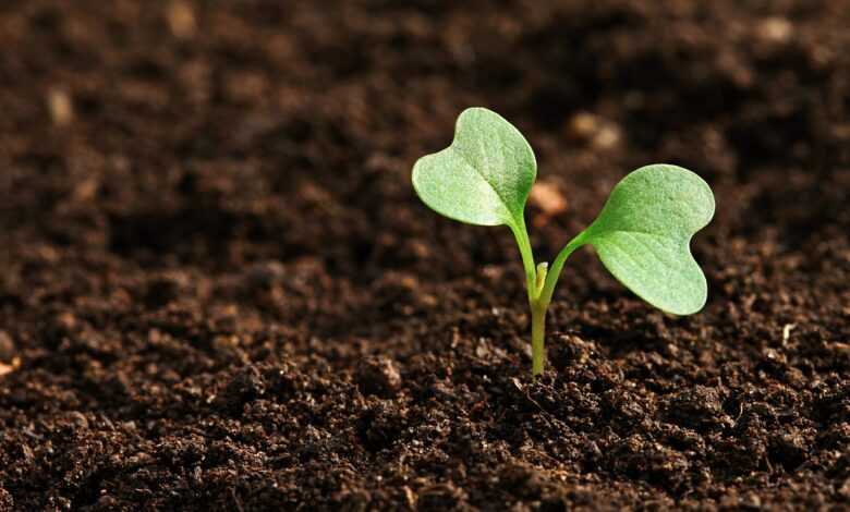 field, farming, earth, earth, earth, earth, earth, earth