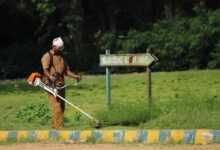 indian worker, garden maintenance, grass cutter, indian worker, indian worker, garden maintenance, garden maintenance, garden maintenance, grass cutter, grass cutter, grass cutter, grass cutter, grass cutter