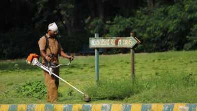 indian worker, garden maintenance, grass cutter, indian worker, indian worker, garden maintenance, garden maintenance, garden maintenance, grass cutter, grass cutter, grass cutter, grass cutter, grass cutter