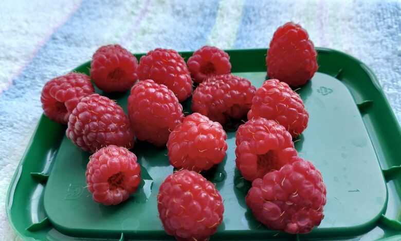 A green tray filled with raspberries on top of a towel