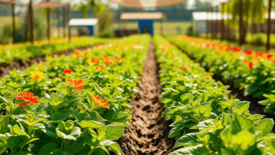 Чому рослини не ростуть в тіні та як це виправити